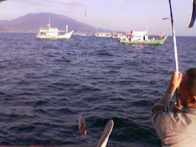 adang.jpg